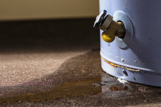 24/7 water damage repair in Cottonwood, MN