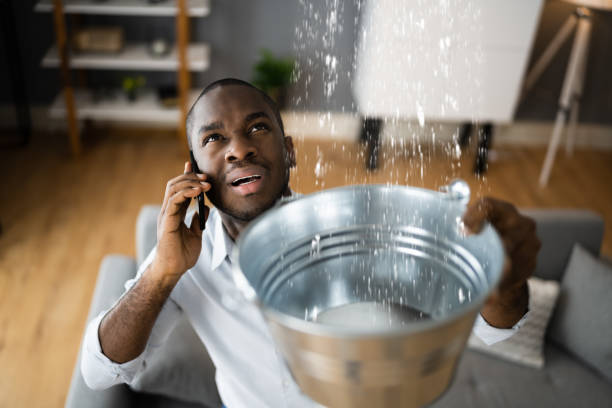 Best Water damage contractors near me  in Cottonwood, MN