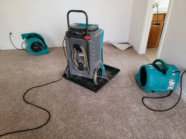 Best Flooded house restoration  in Cottonwood, MN