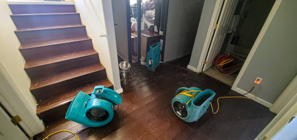 Best Sewage cleanup and water damage restoration  in Cottonwood, MN