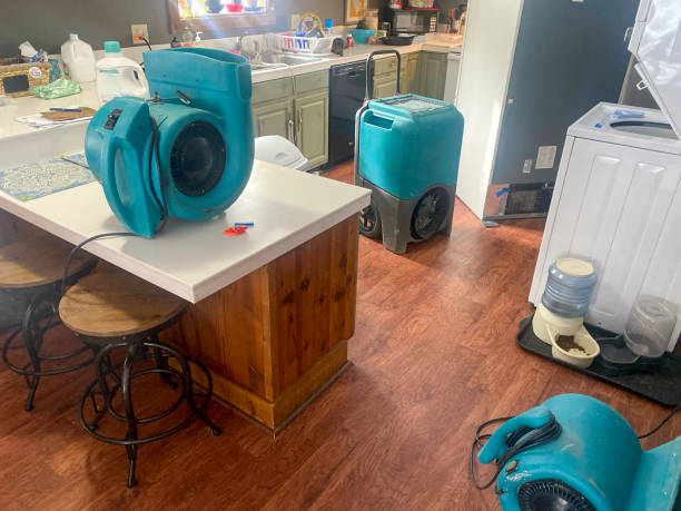 Best Water damage restoration near me  in Cottonwood, MN
