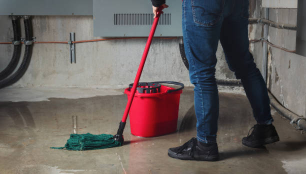 Best Emergency water damage restoration  in Cottonwood, MN