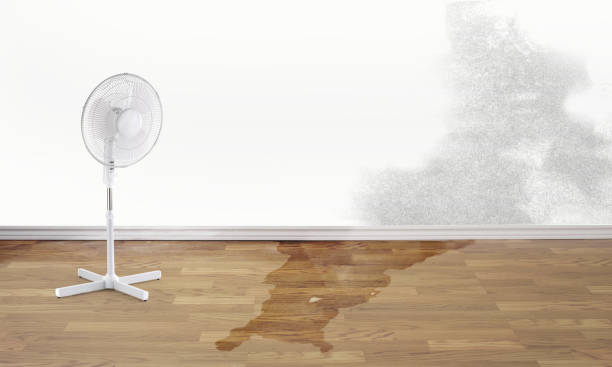 Best 24/7 water damage repair  in Cottonwood, MN