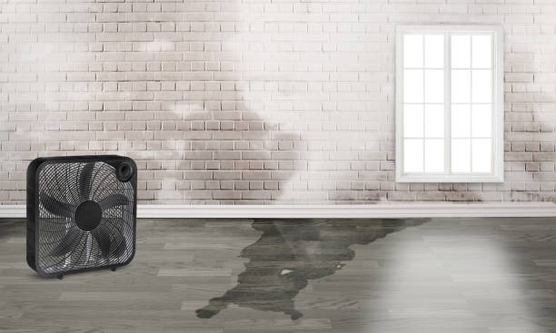  Cottonwood, MN Water damage restoration Pros