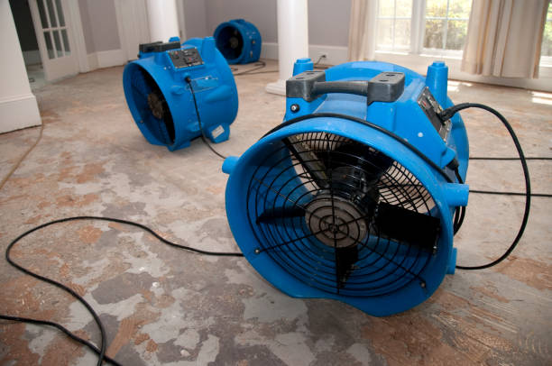 Best 24-hour water damage restoration  in Cottonwood, MN