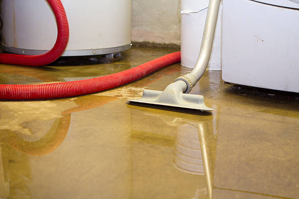 Sewage cleanup and water damage restoration in Cottonwood, MN