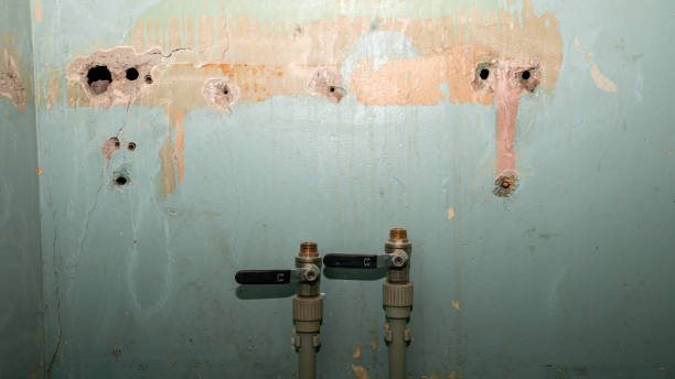 Best Carpet water damage restoration  in Cottonwood, MN