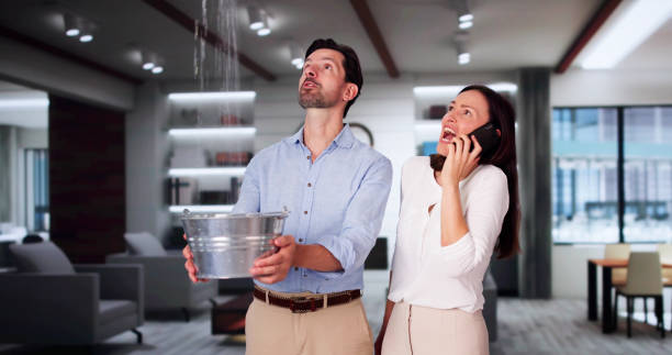 Best Ceiling water damage repair  in Cottonwood, MN